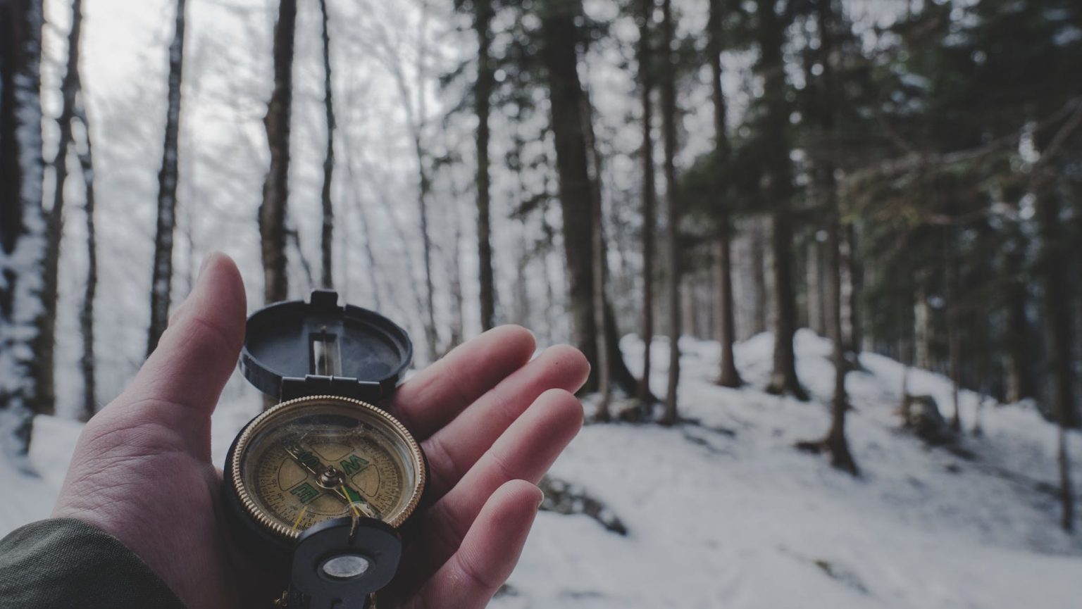 person holding compass in forest